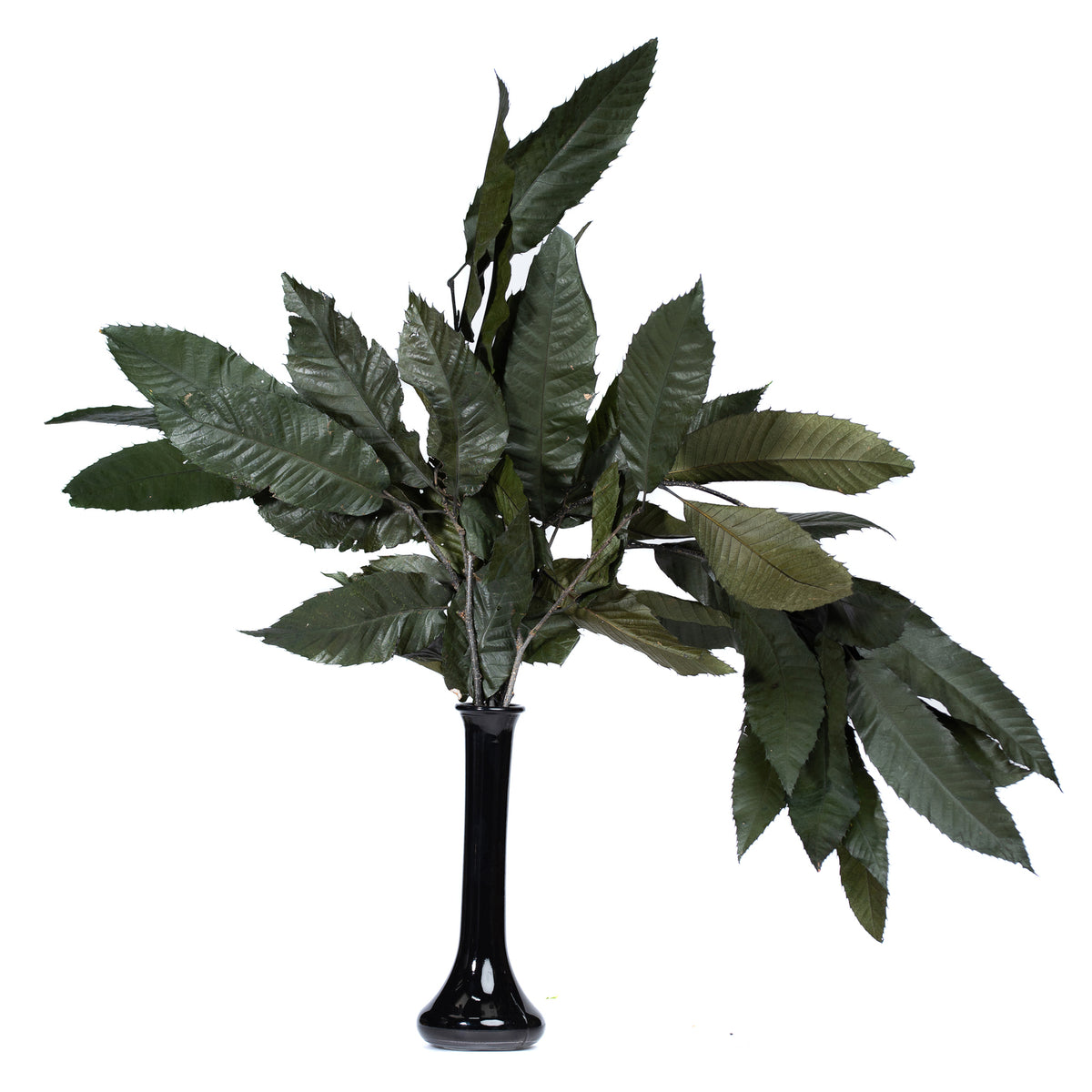 216 064 Endura_29-07-20-502