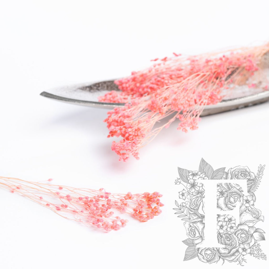Broom - Bunch