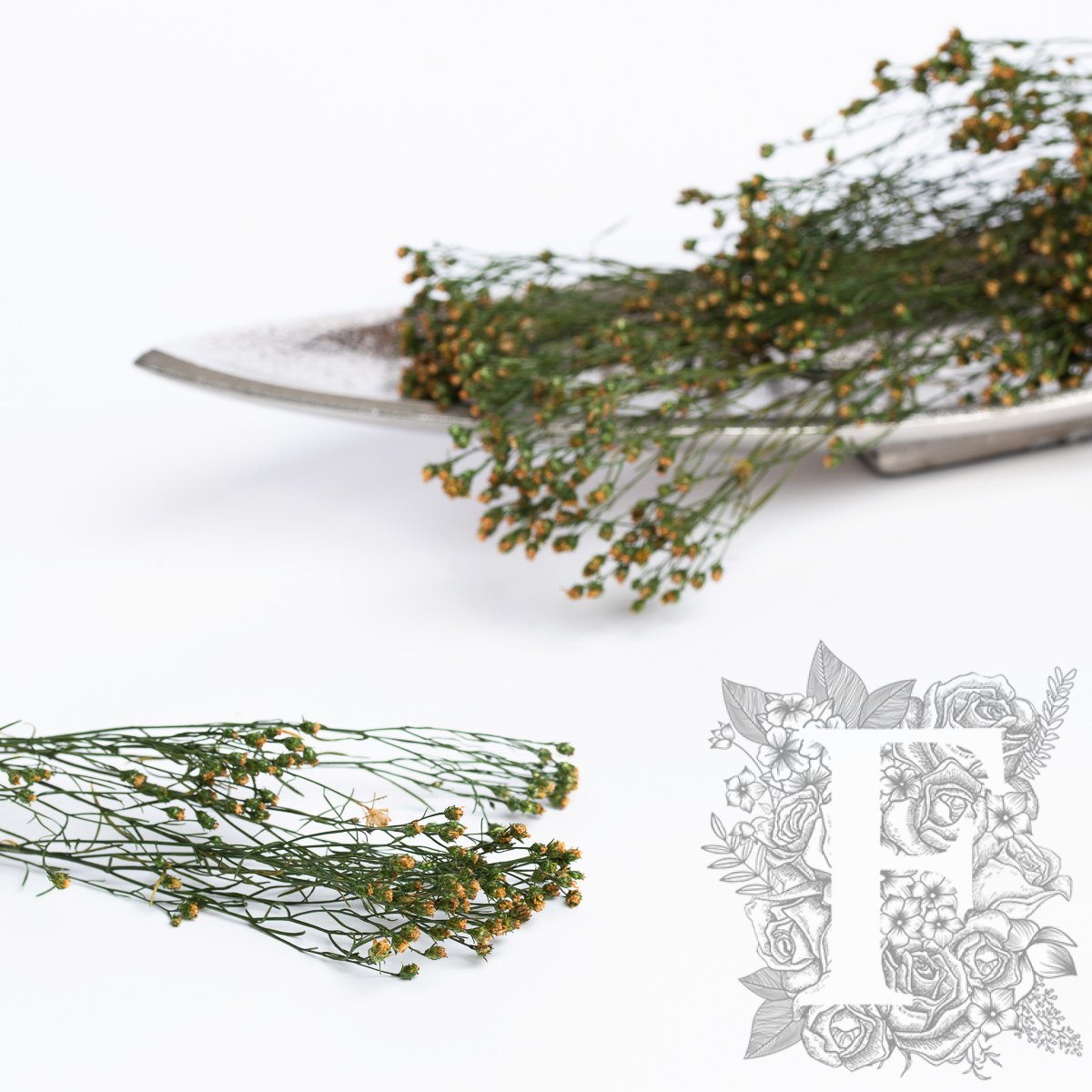 Broom - Bunch
