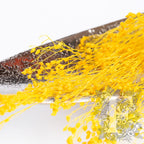 Broom Yellow 2