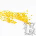 Broom Yellow 3