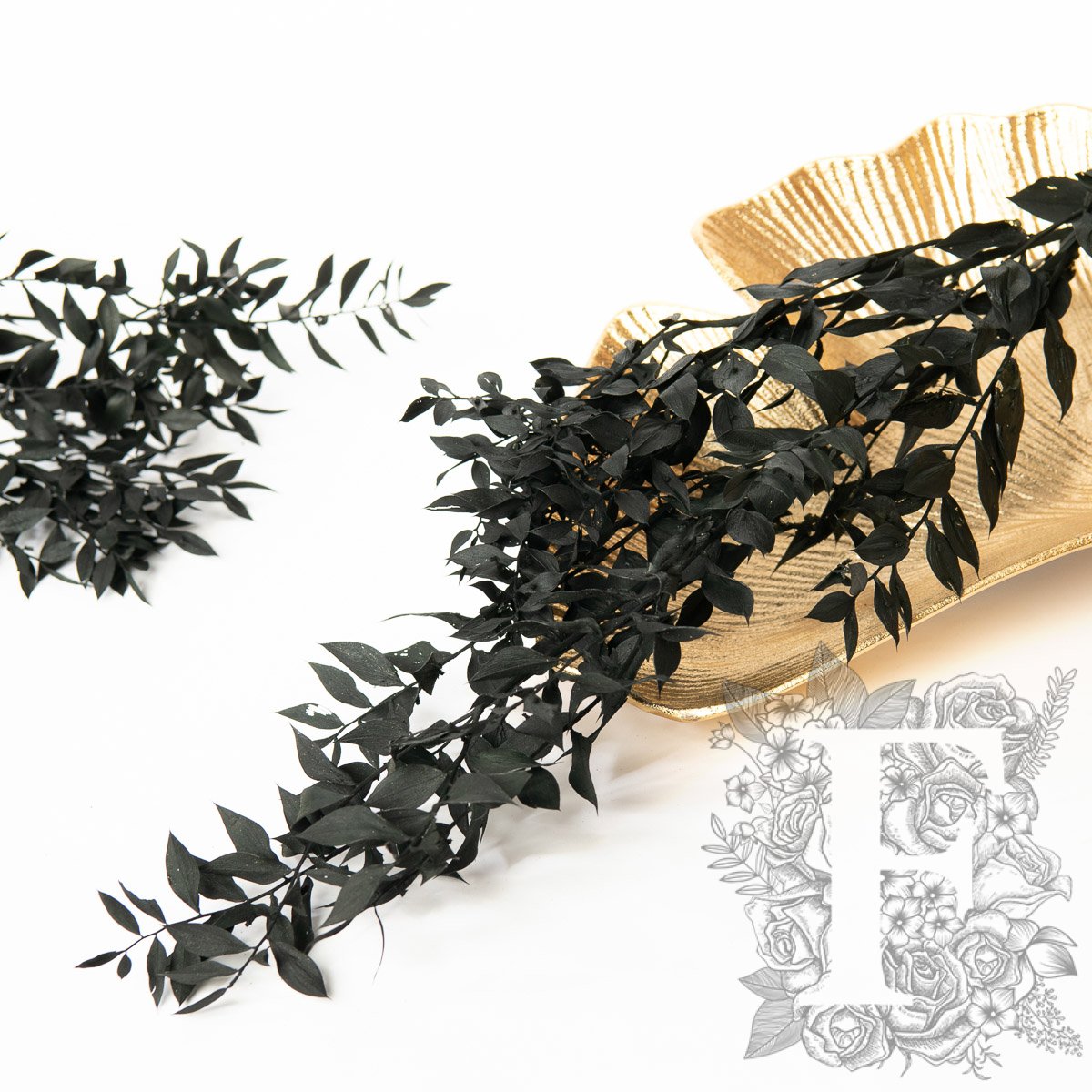 Ruscus - Bunch