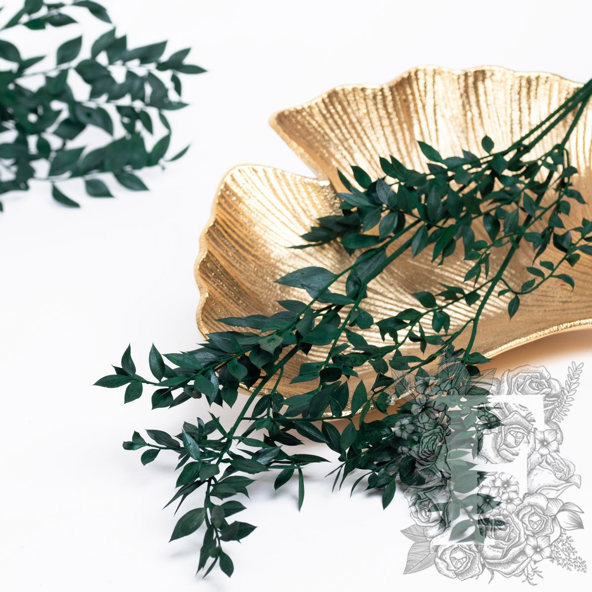 Ruscus - Bunch