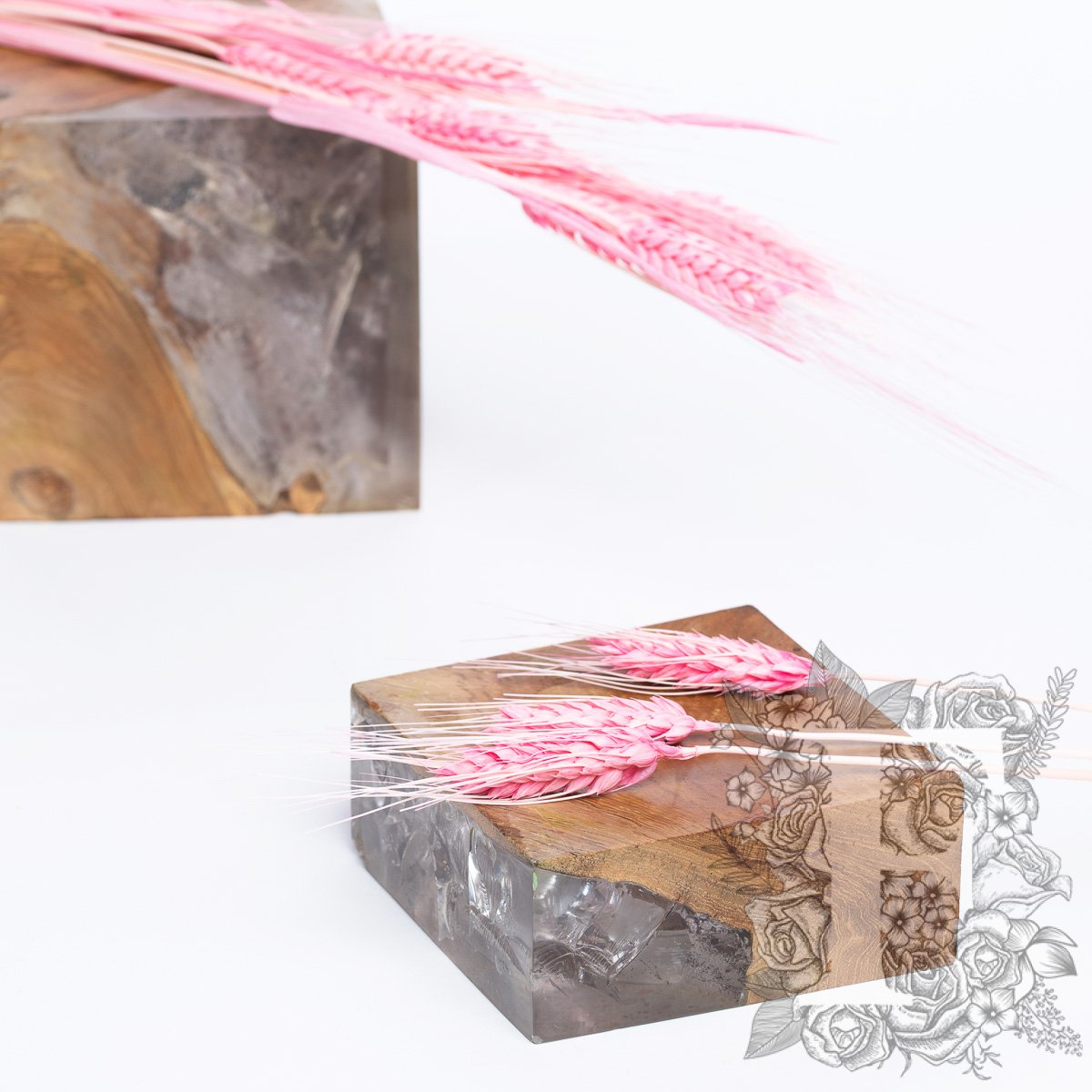 Triticum Pink 1