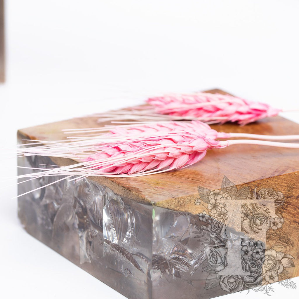Triticum Pink 2