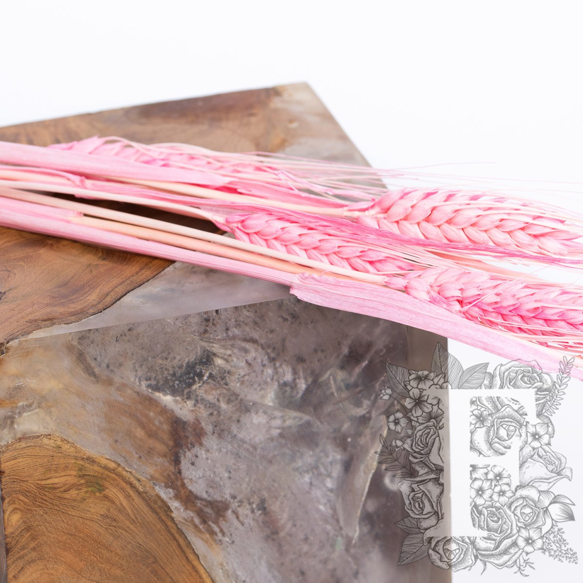 Triticum Pink 3