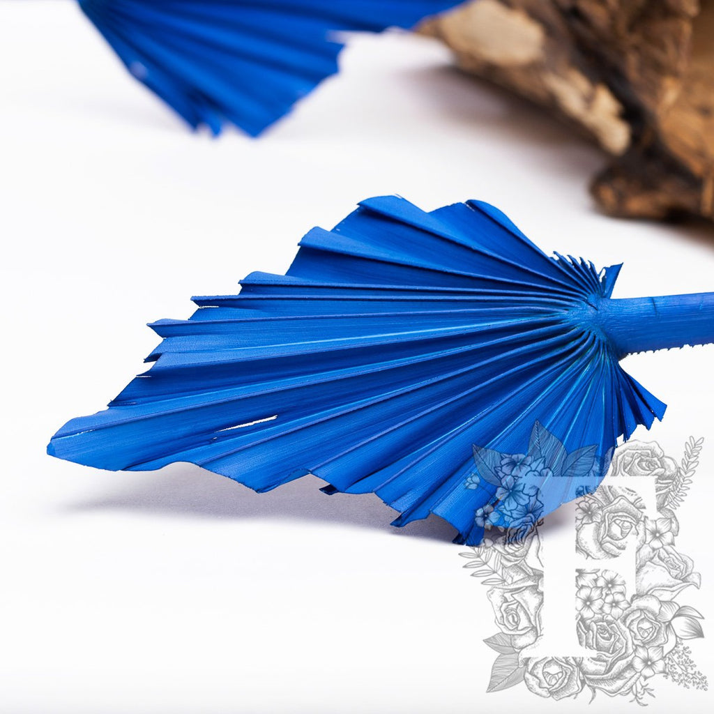 Palm Spear Blue 2
