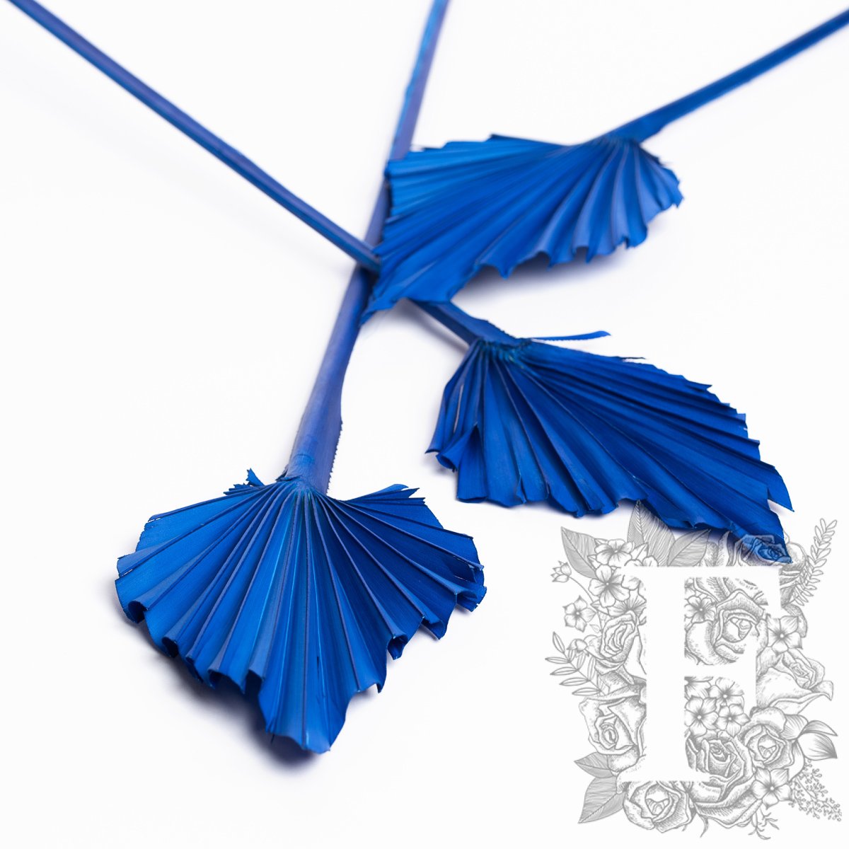 Palm Spear Blue 3