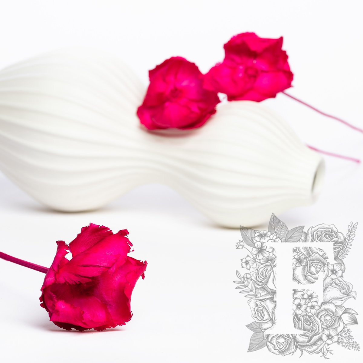Palm Cap Fuschia 1