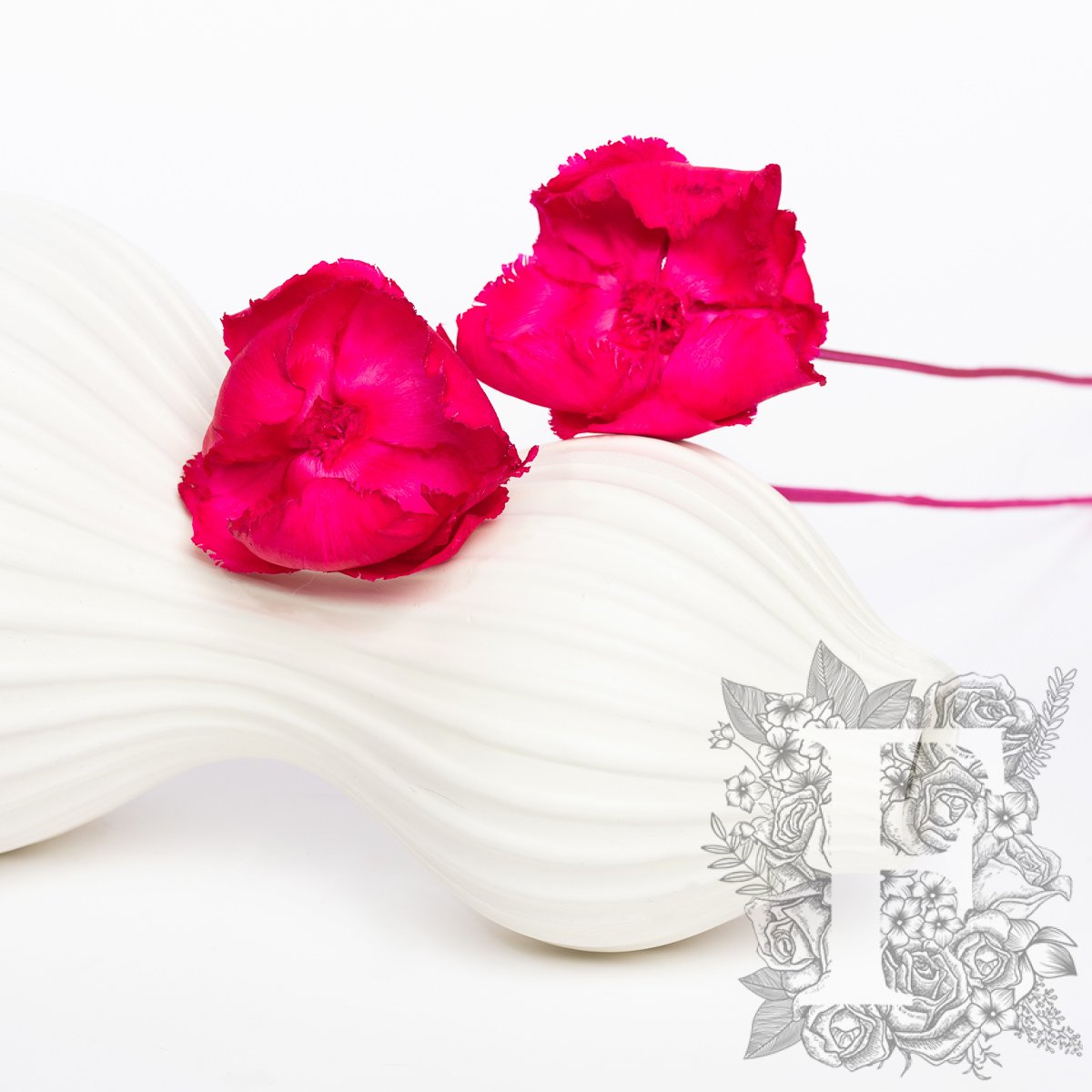 Palm Cap Fuschia 3