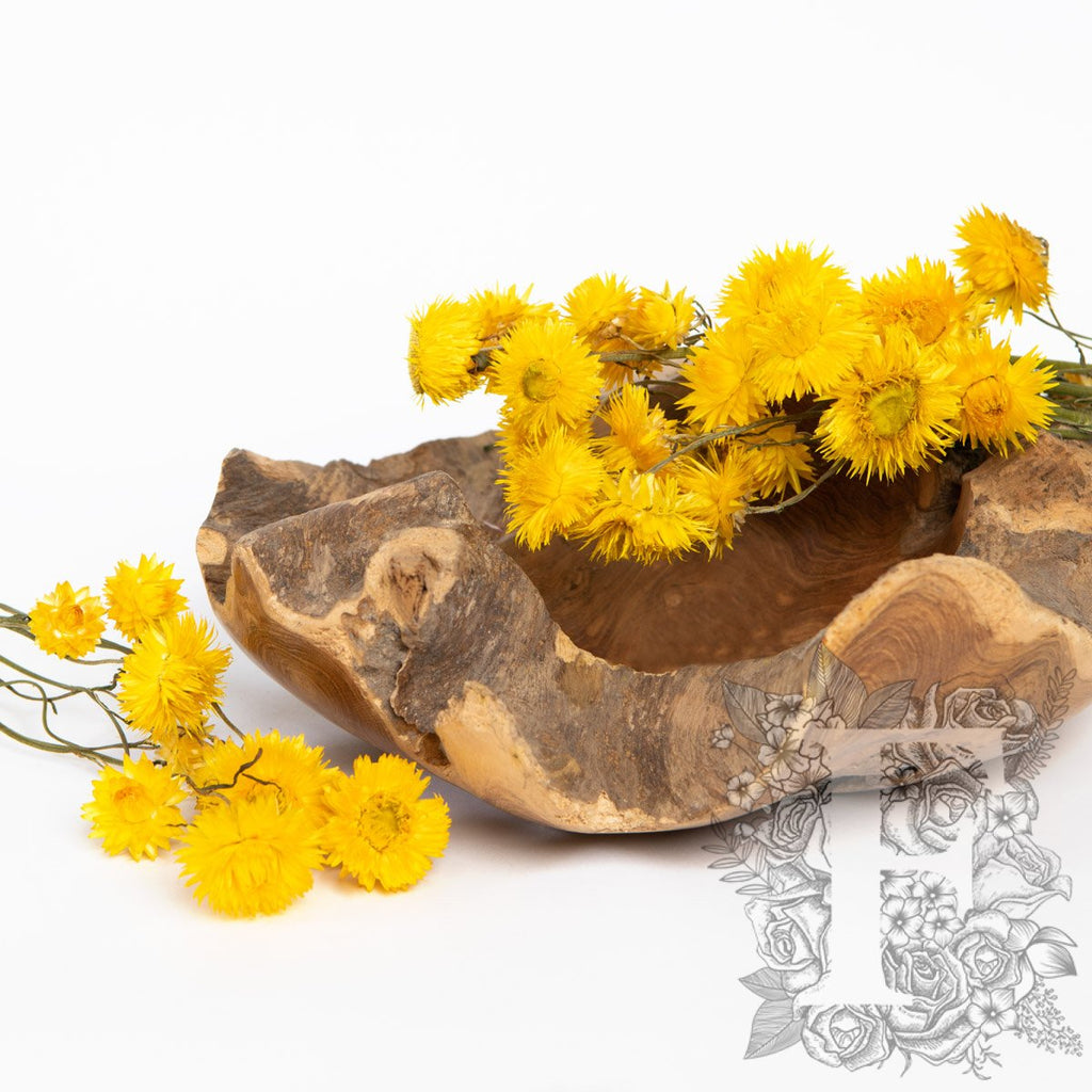 Helichrysum - Bunch