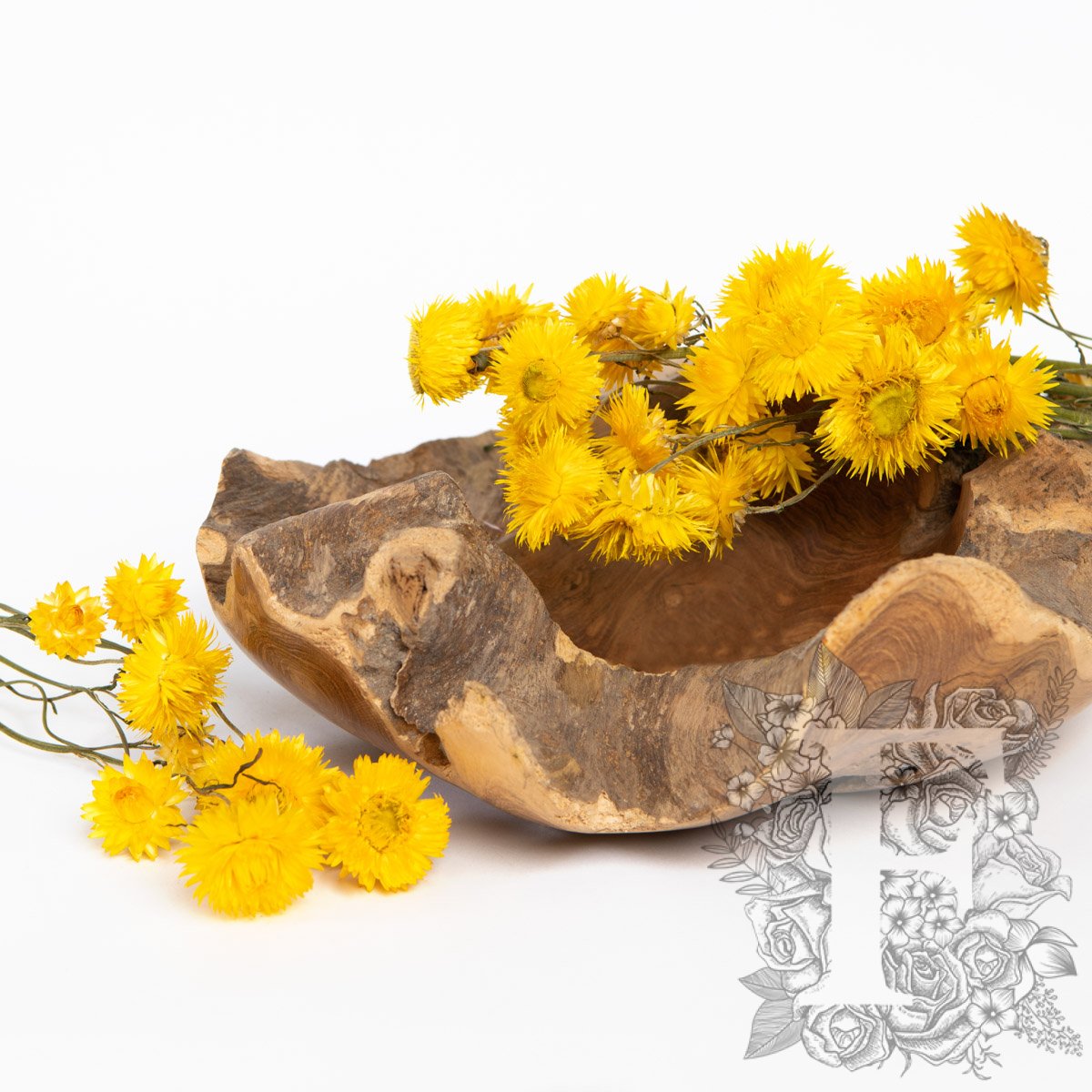 Helichrysum - Bunch