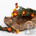 Helichrysum 2