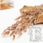Lagurus Bunny Tail - Bunch 50g