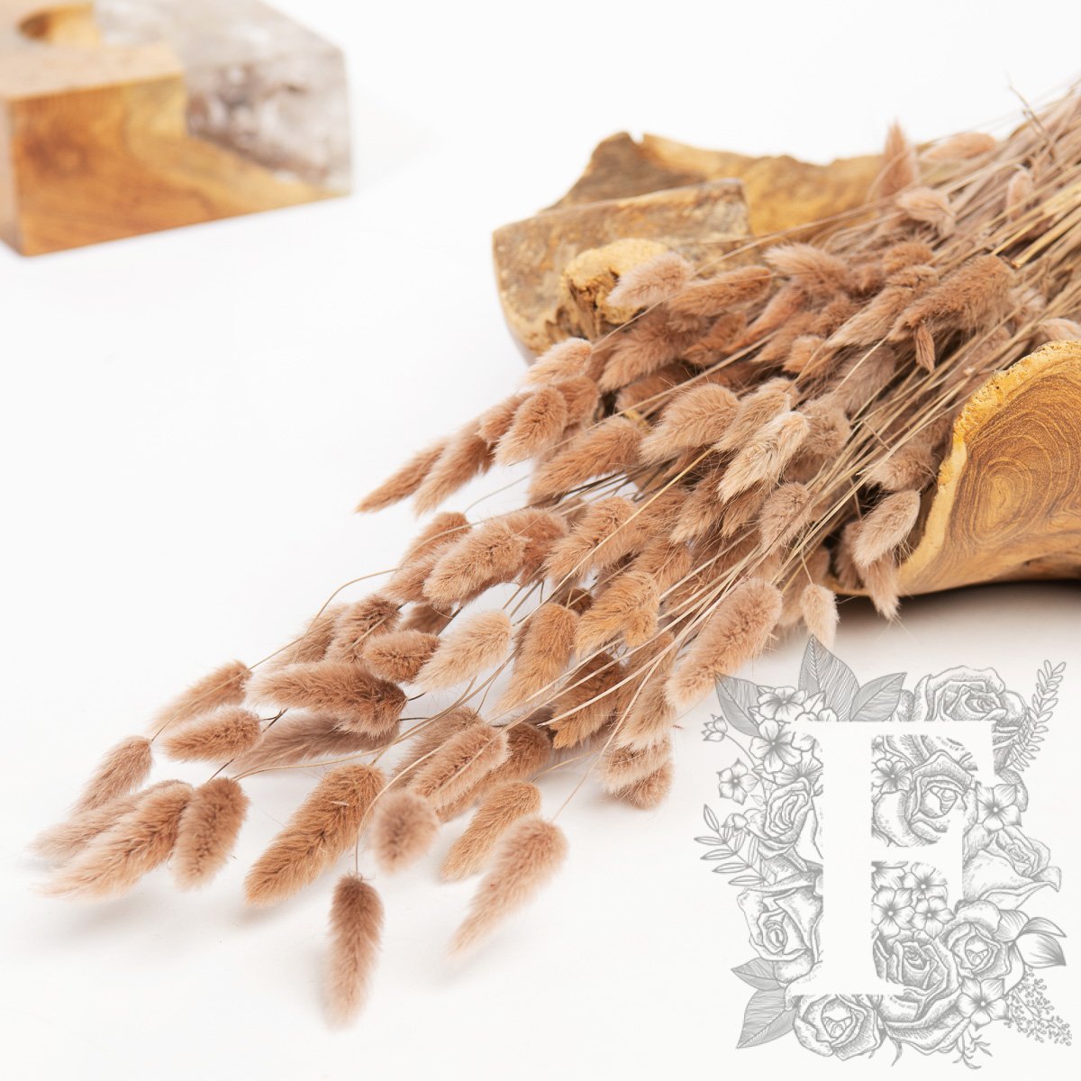 Lagurus Bunny Tail - Bunch 50g