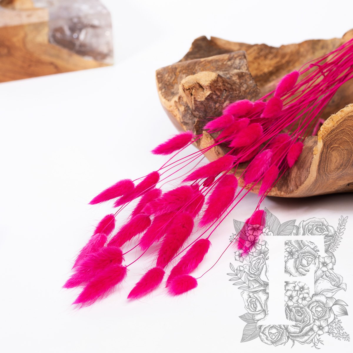 Lagurus Bunny Tail - Bunch 50g