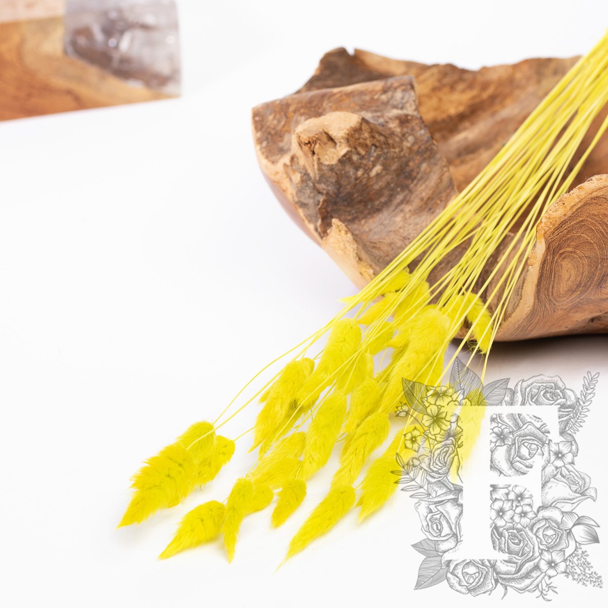 Lagurus Bunny Tail - Bunch 50g