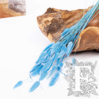 Lagurus Bunny Tail - Bunch 50g