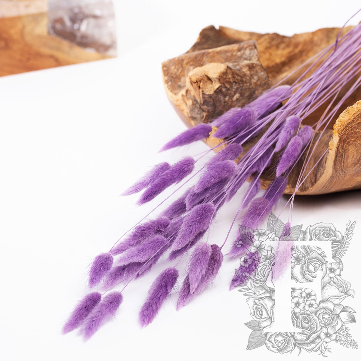 Lagurus Bunny Tail - Bunch 50g