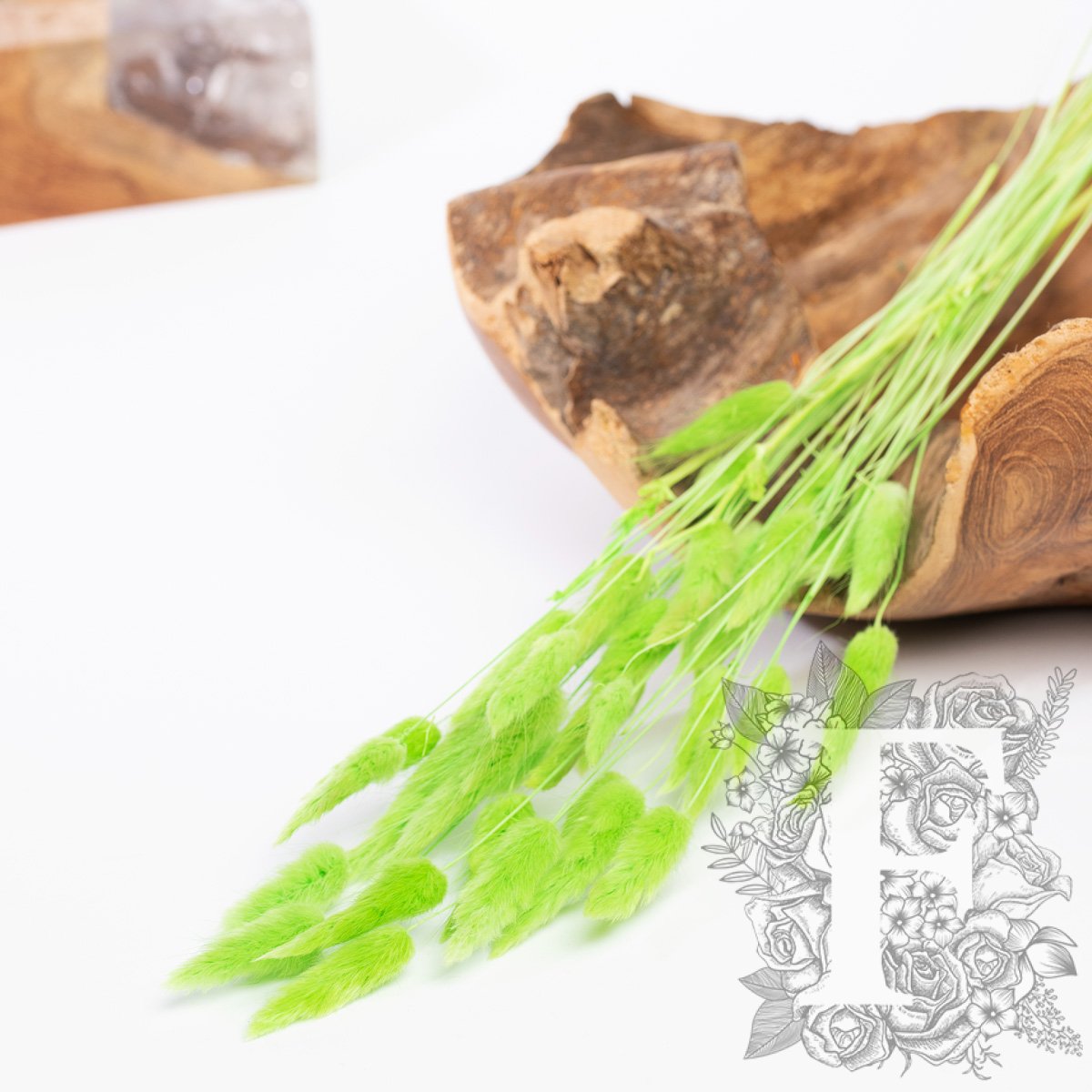 Lagurus Bunny Tail - Bunch 50g