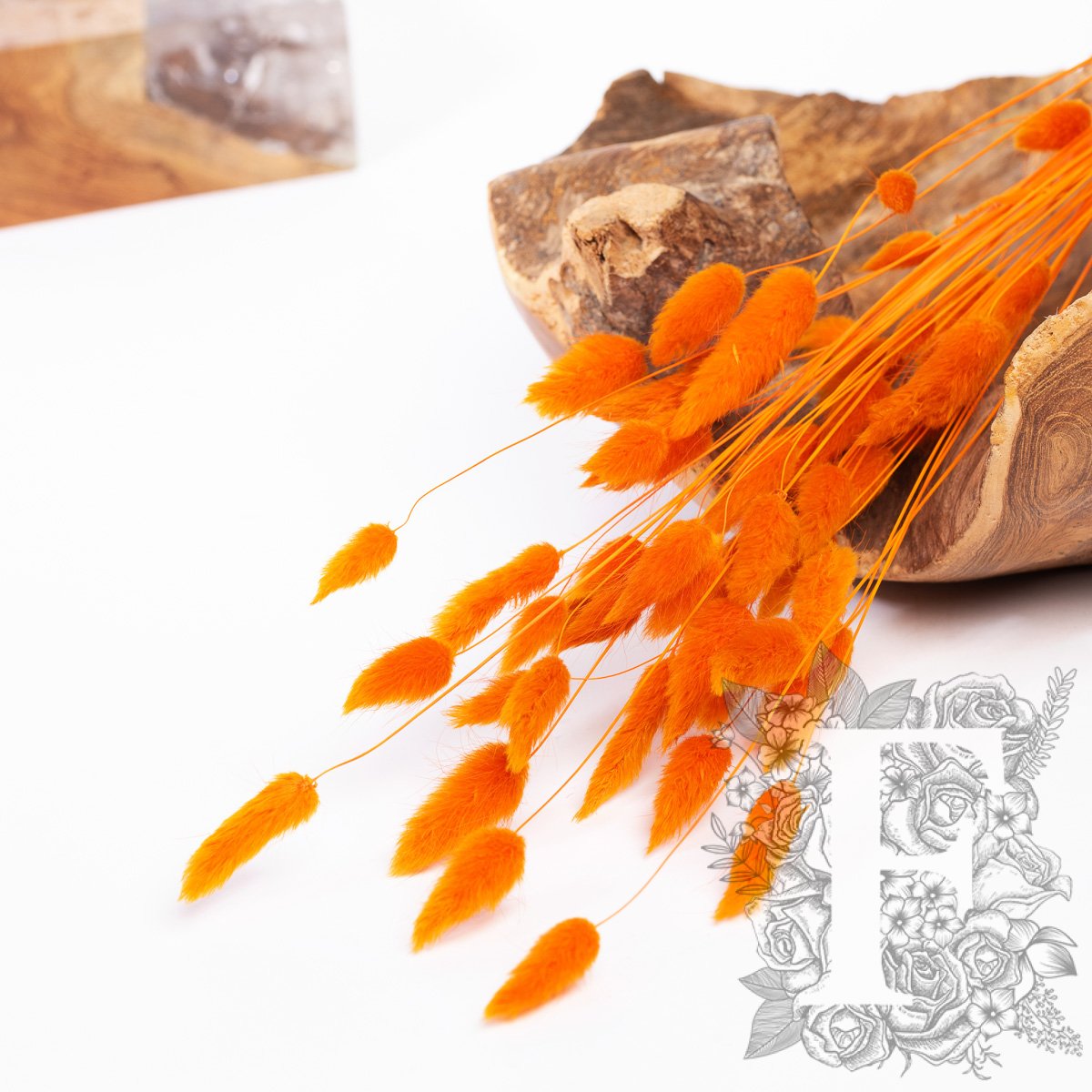 Lagurus Bunny Tail - Bunch 50g