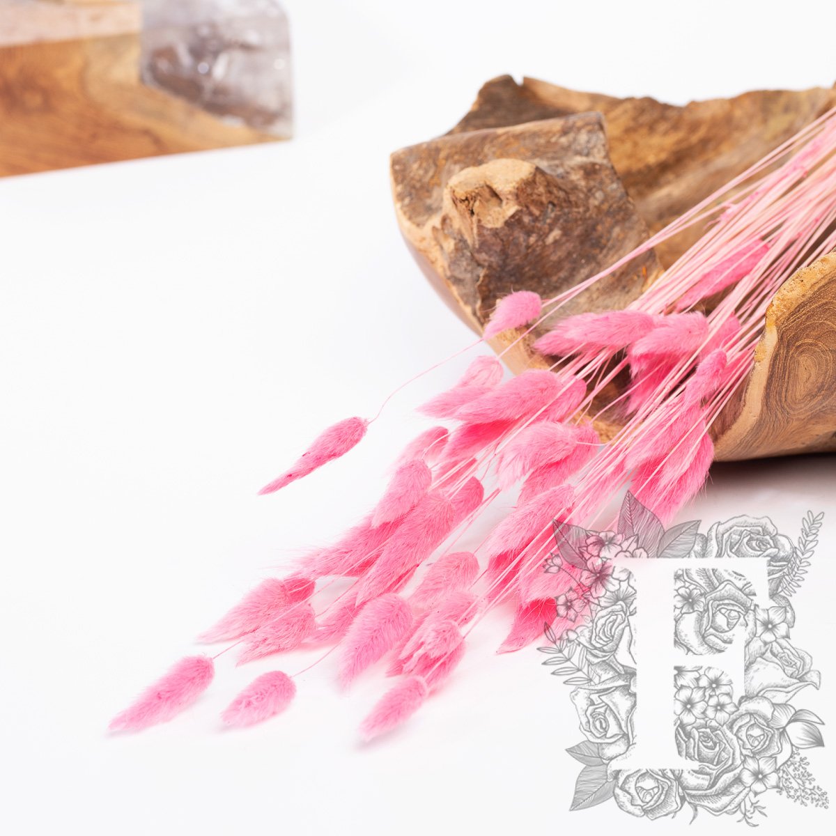 Lagurus Bunny Tail - Bunch 50g