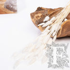 Lagurus Bunny Tail - Bunch 50g
