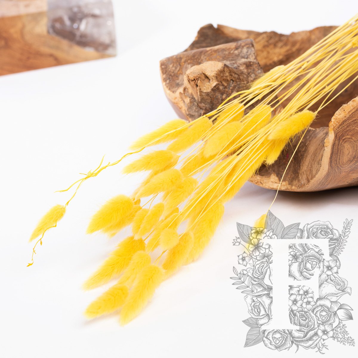 Lagurus Bunny Tail - Bunch 50g