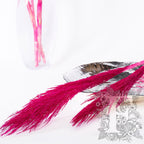 Pampas - Classic - Cana Silvestre - 6 Stems 120cm