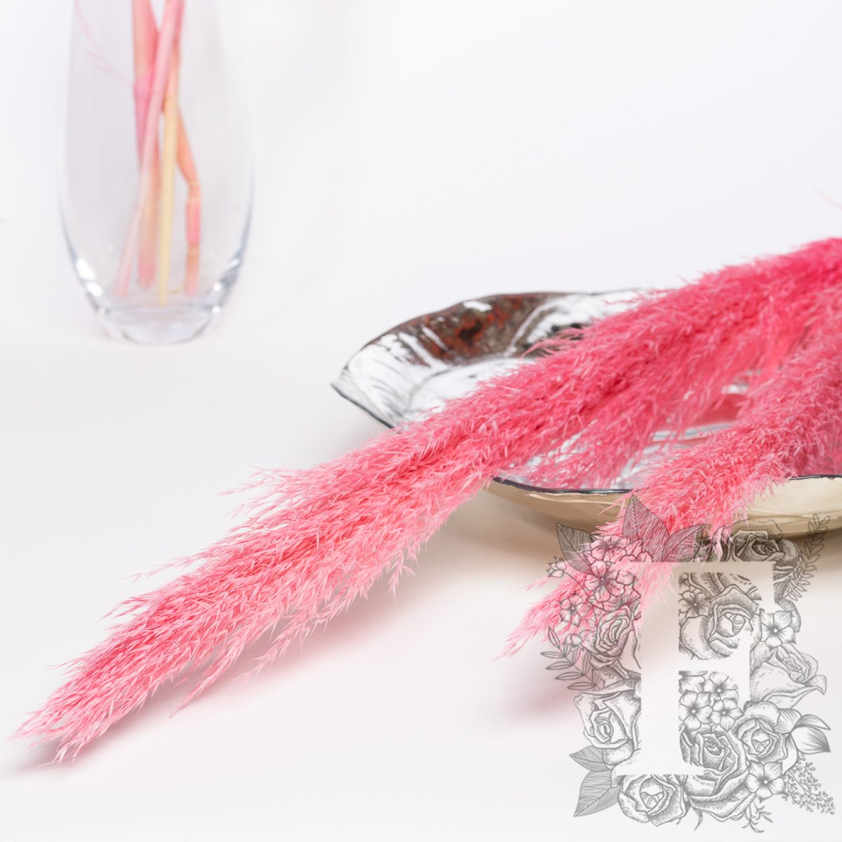 Pampas - Classic - Cana Silvestre - 6 Stems 120cm