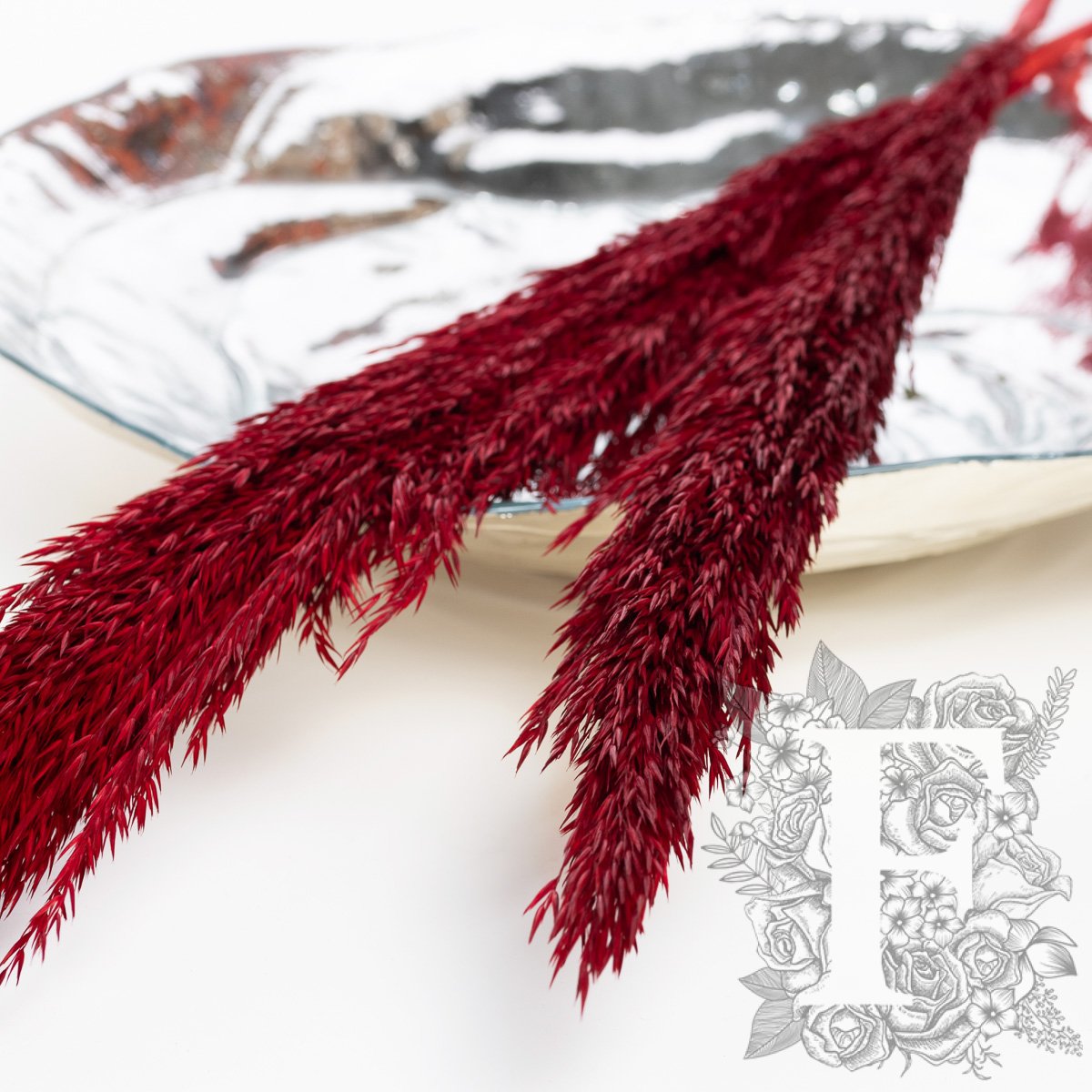 cana silv red 1