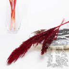 cana silv red 3