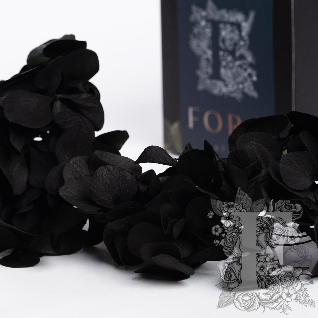 Fora Exclusive Hydrangea - Box