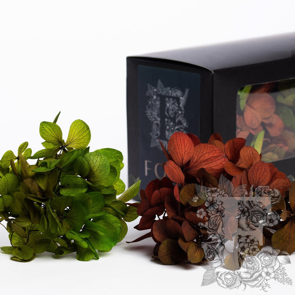 Exclusive Hydrangea Box Green & Red 2