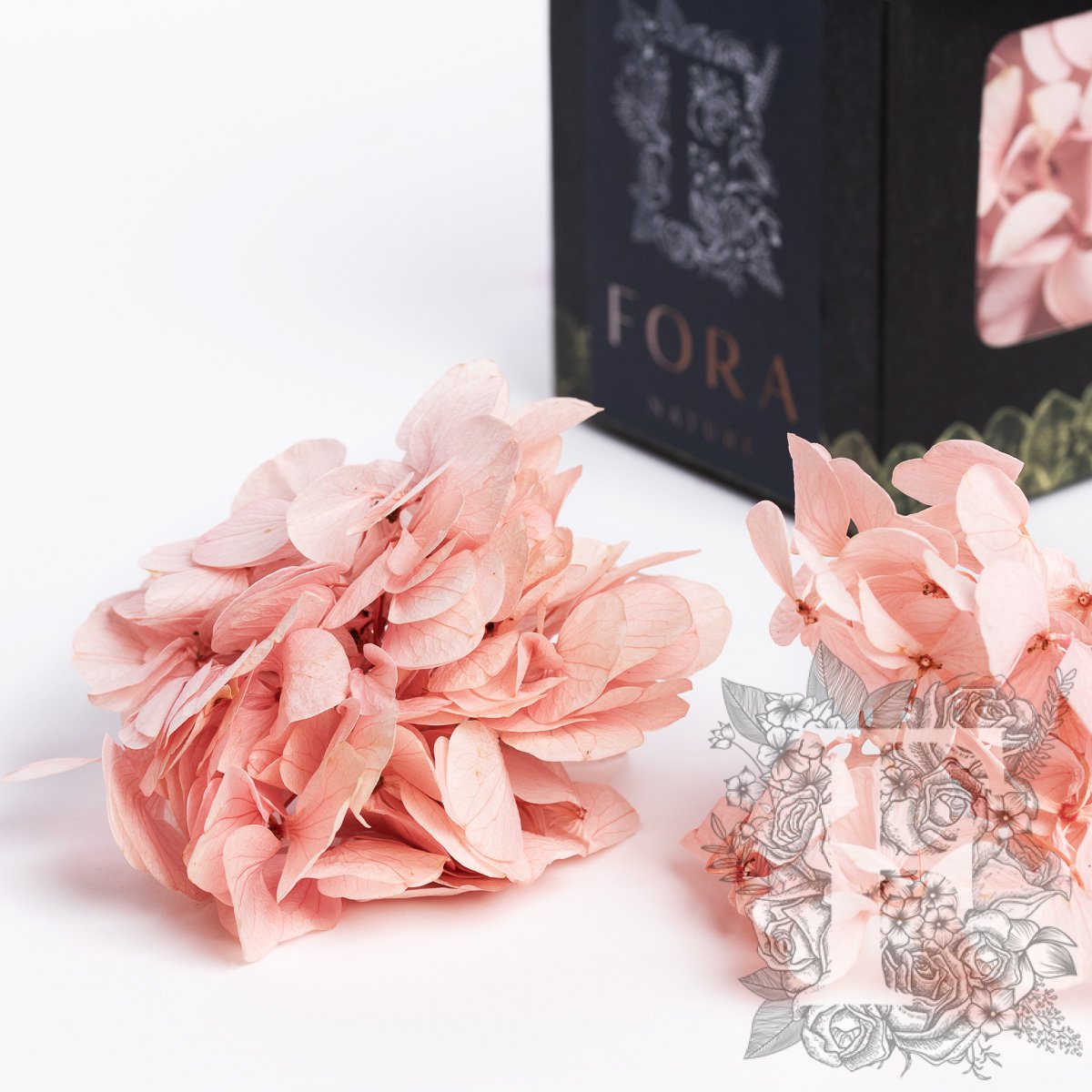 Fora Exclusive Hydrangea - Box