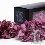 Fora Exclusive Hydrangea - Box