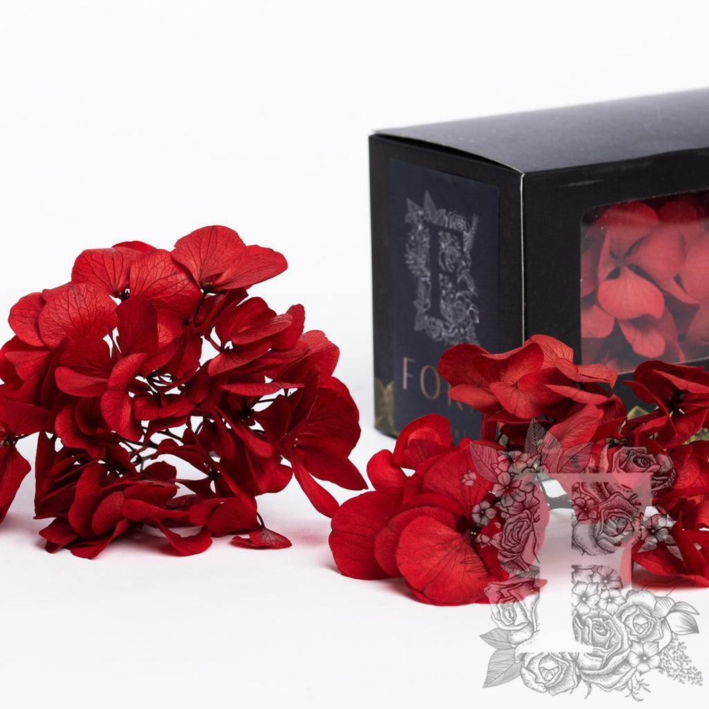 Fora Exclusive Hydrangea - Box