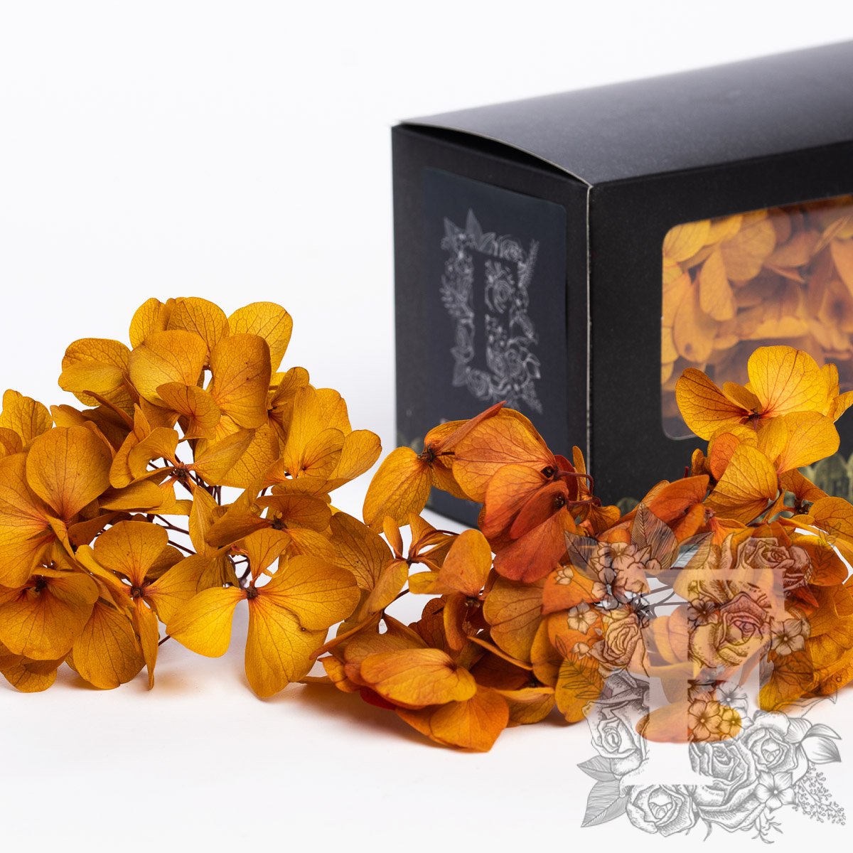 Fora Exclusive Hydrangea - Box
