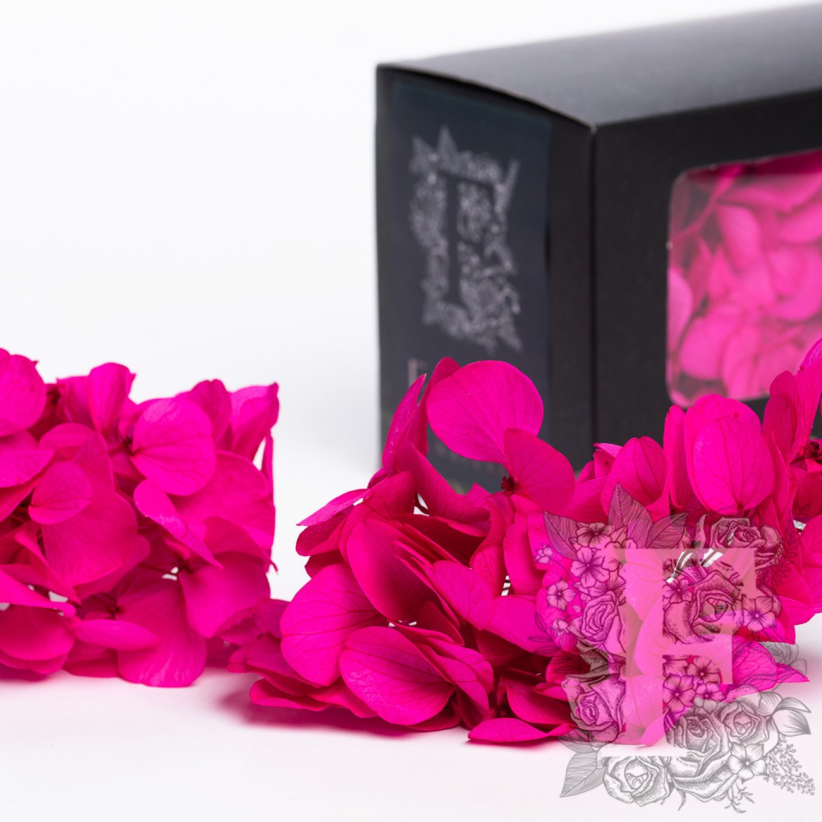 Fora Exclusive Hydrangea - Box