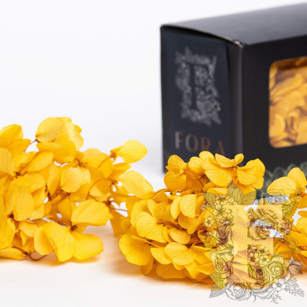 Fora Exclusive Hydrangea - Box