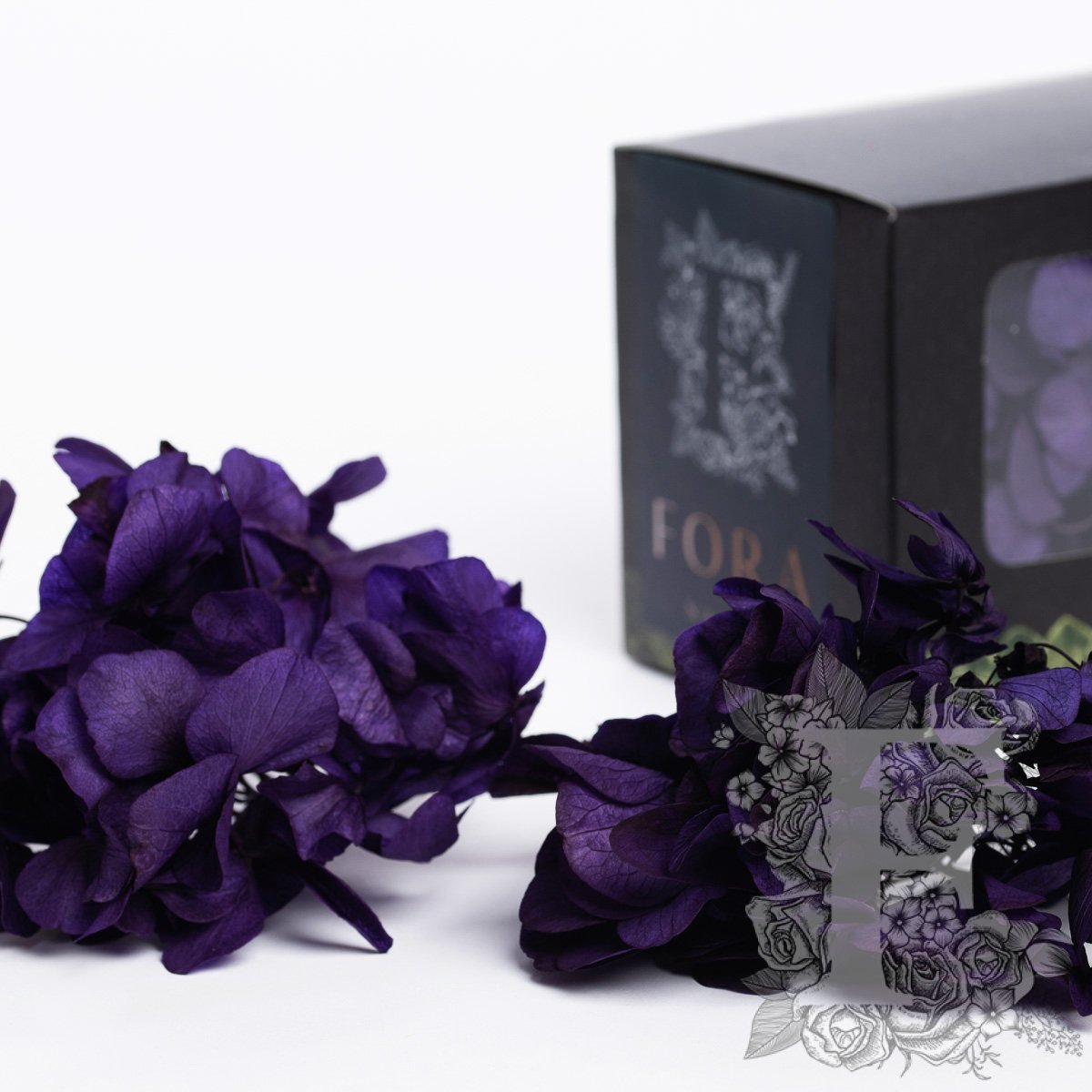 Fora Exclusive Hydrangea - Box