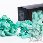 Fora Exclusive Hydrangea - Box