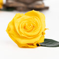 227 Endura_03-11-20-071