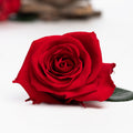 212 Endura_03-11-20-054