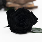 239 Endura_03-11-20-087