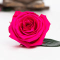224 Endura_03-11-20-067