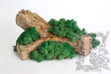 Standard Moss Grass Green 1