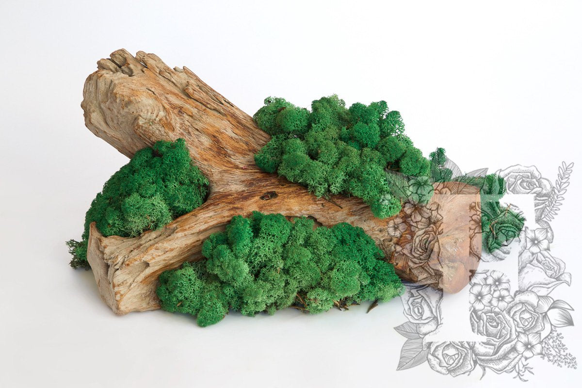 Standard Moss Grass Green 1