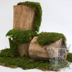Standard Flat Moss 1