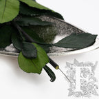 290 Endura_03-11-20-200